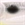 0001_Spro_Fat_Iris_50_CR_[Hot_Tail].jpg